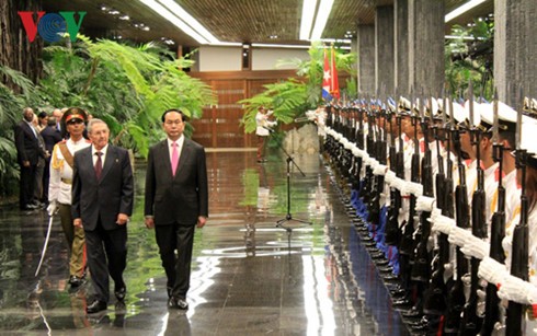 Председатель Госсовета Кубы встретил президента Вьетнама и провёл с ним переговоры  - ảnh 1